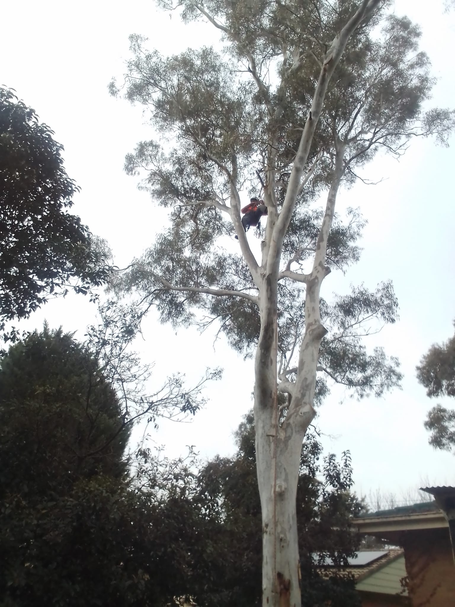 Aerial Inspections